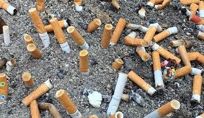 cigarette butts